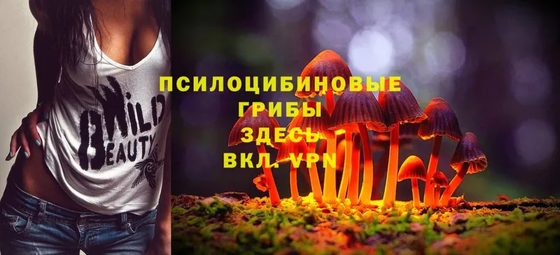 Галлюциногенные грибы MAGIC MUSHROOMS  купить наркоту  Бахчисарай 